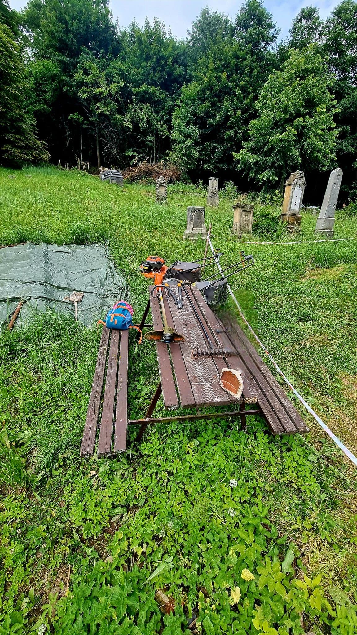 Fotka k článku Útok sršní z 30.6.2024